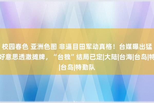 校园春色 亚洲色图 非逼目田军动真格！台媒曝出猛料，好意思透澈摊牌，“台独”结局已定|大陆|台海|台岛|特勤队